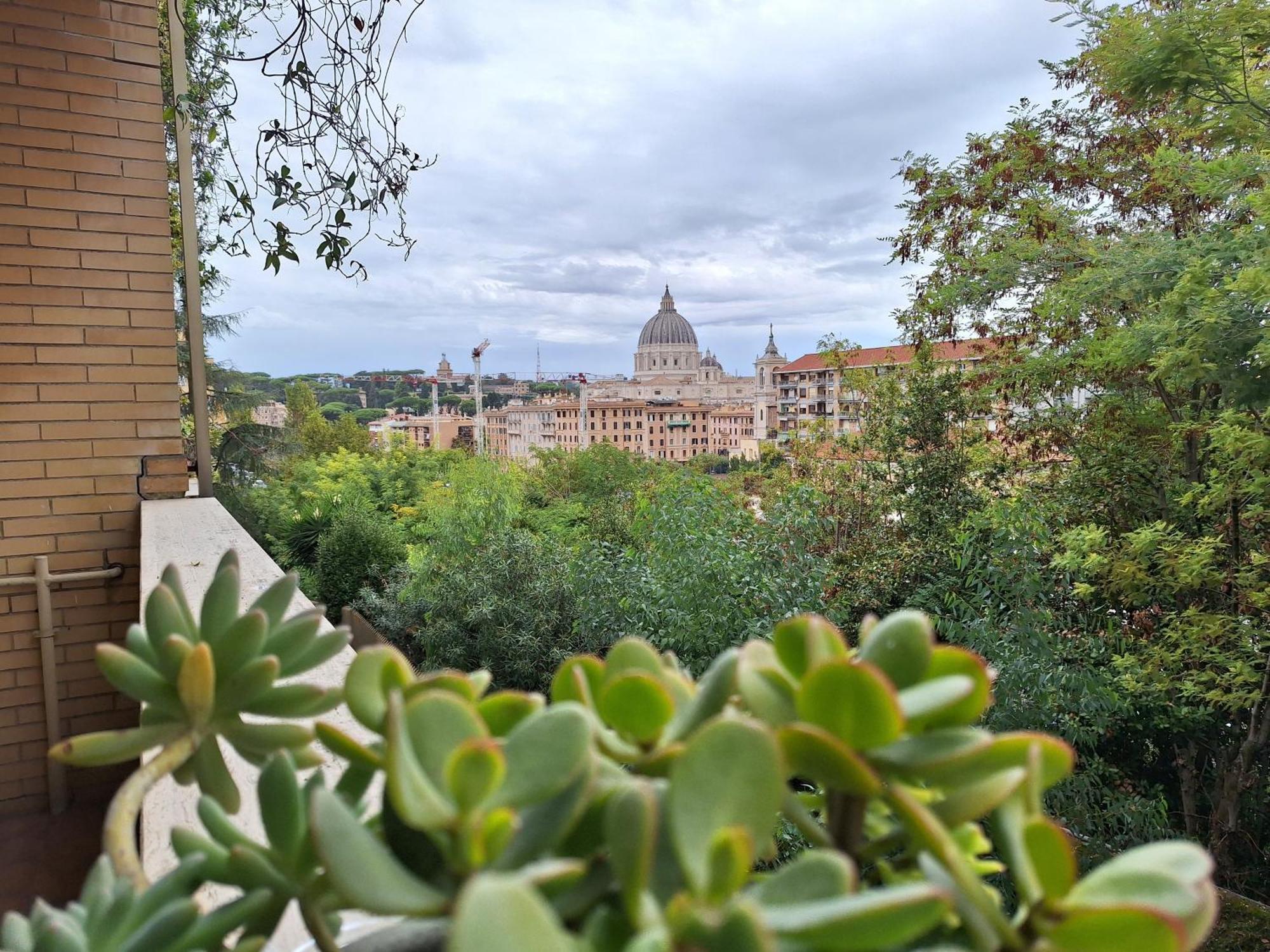 Delmirani's Book Apartments - Vatican View Rome Buitenkant foto