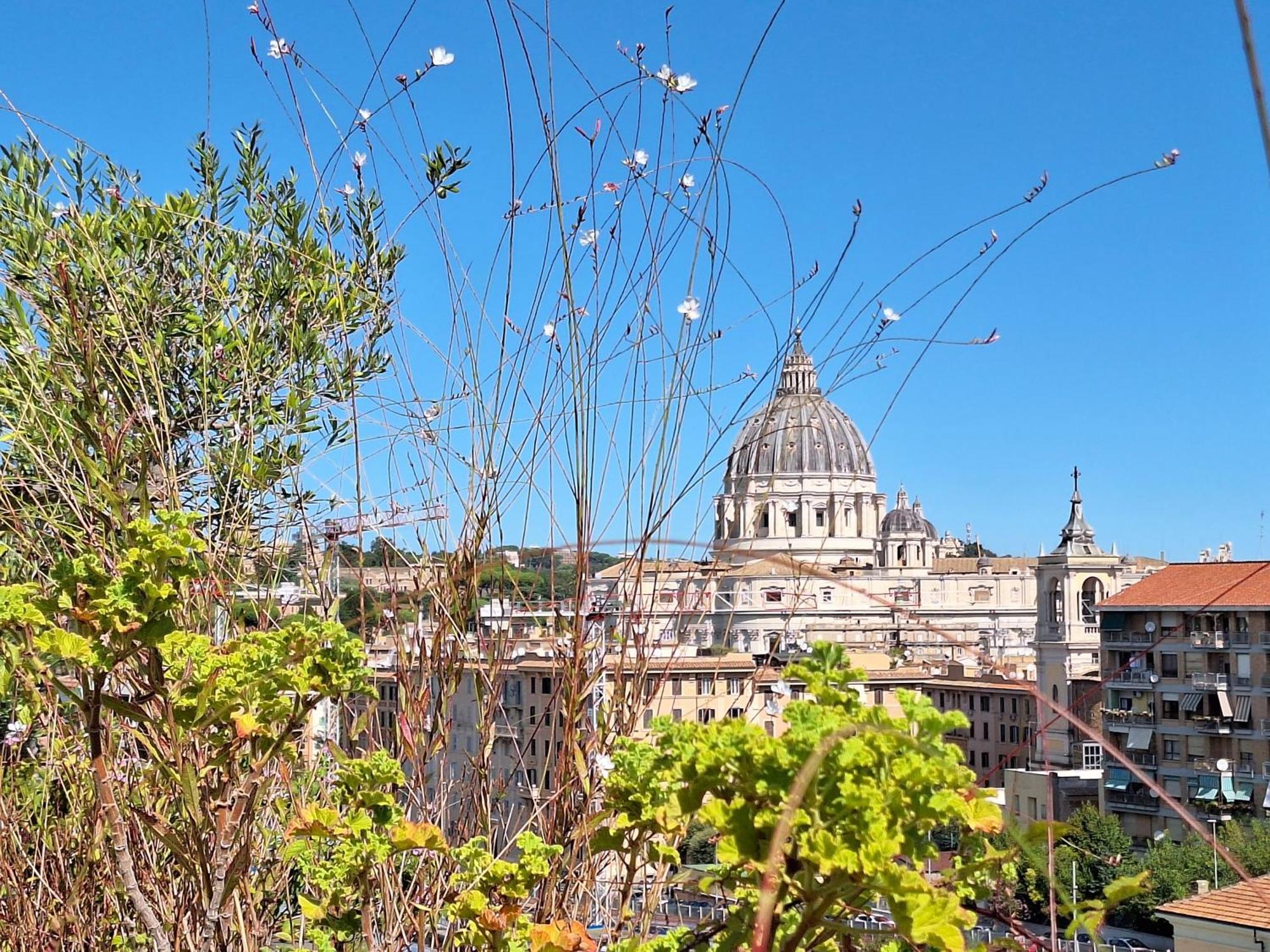 Delmirani's Book Apartments - Vatican View Rome Buitenkant foto